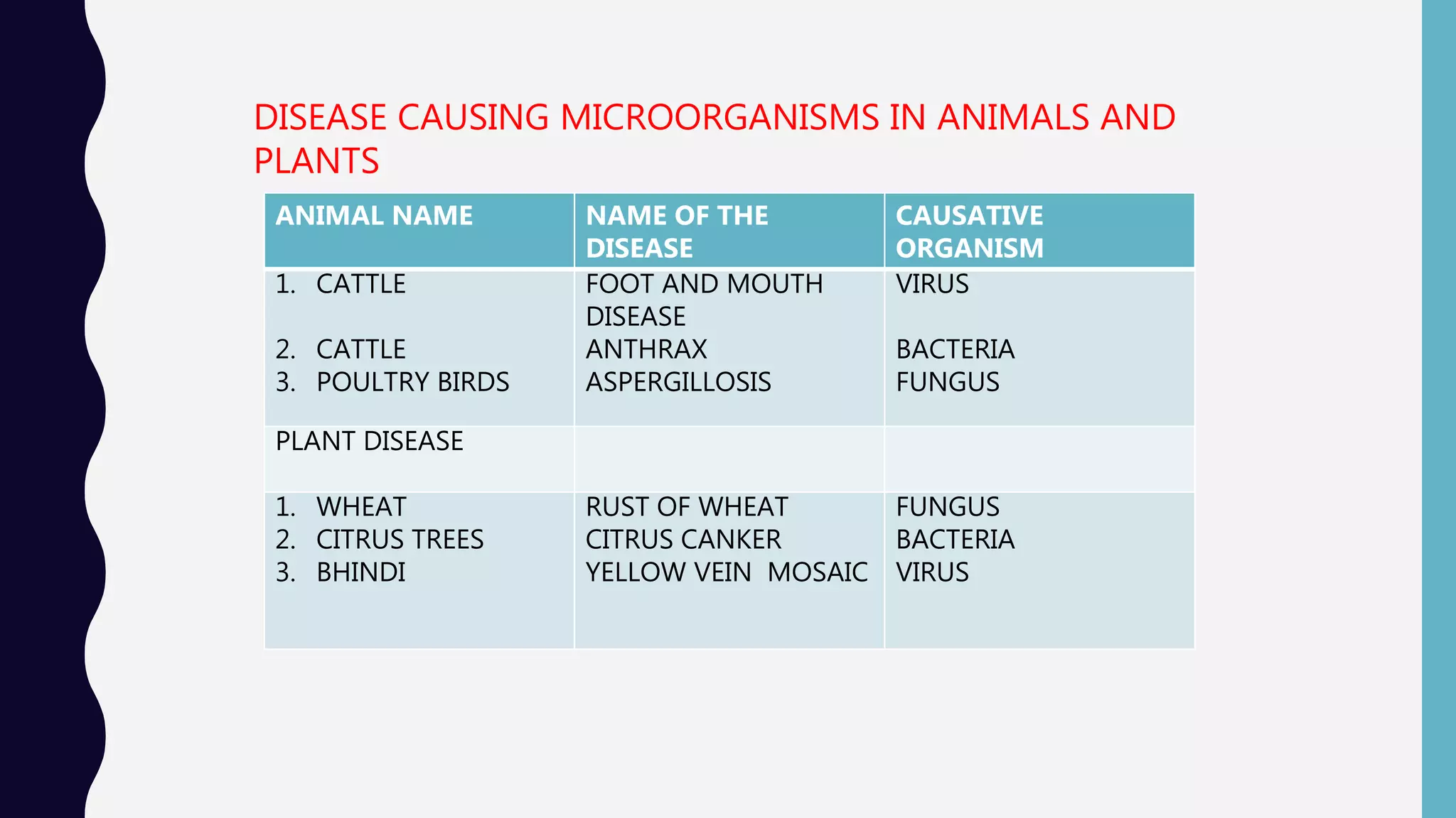DISEASE CAUSING MICROORGANISMS IN ANIMALS AND
PLANTS
ANIMAL NAME NAME OF THE
DISEASE
CAUSATIVE
ORGANISM
1. CATTLE
2. CATTLE
3. POULTRY BIRDS
FOOT AND MOUTH
DISEASE
ANTHRAX
ASPERGILLOSIS
VIRUS
BACTERIA
FUNGUS
PLANT DISEASE
1. WHEAT
2. CITRUS TREES
3. BHINDI
RUST OF WHEAT
CITRUS CANKER
YELLOW VEIN MOSAIC
FUNGUS
BACTERIA
VIRUS
 