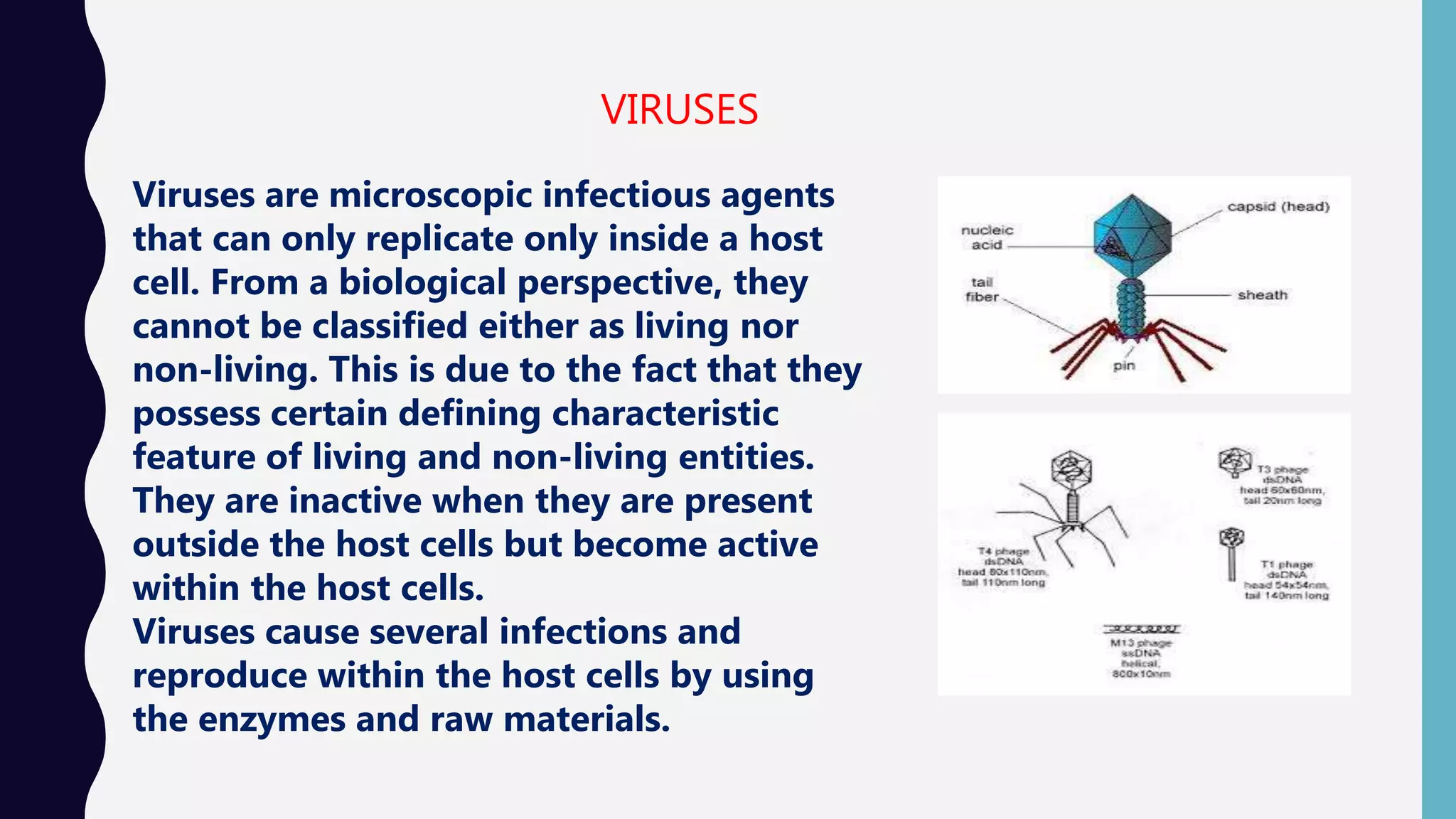 VIRUSES
Viruses are microscopic infectious agents
that can only replicate only inside a host
cell. From a biological perspective, they
cannot be classified either as living nor
non-living. This is due to the fact that they
possess certain defining characteristic
feature of living and non-living entities.
They are inactive when they are present
outside the host cells but become active
within the host cells.
Viruses cause several infections and
reproduce within the host cells by using
the enzymes and raw materials.
 