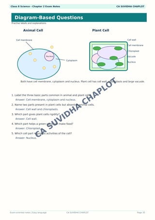 Class 8 Science Chapter 2work Worksheets.pdf Class 8 Science Chapter 2: The Invisible Living World - Cells and ...