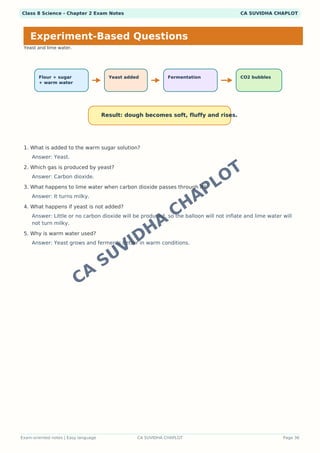 Class 8 Science Chapter 2work Worksheets.pdf Class 8 Science Chapter 2: The Invisible Living World - Cells and ...