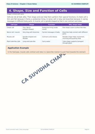 Class 8 Science Chapter 2work Worksheets.pdf Class 8 Science Chapter 2: The Invisible Living World - Cells and ...