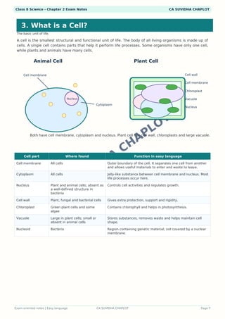 Class 8 Science Chapter 2work Worksheets.pdf Class 8 Science Chapter 2 Visual Notes PDF | Colorful Infographics ...