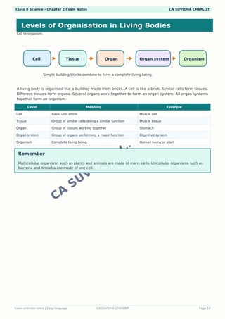 Class 8 Science Chapter 2 Visual Notes PDF | Colorful Infographics ...