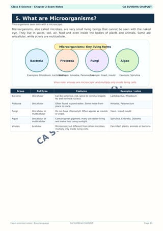 Class 8 Science Chapter 2work Worksheets.pdf Class 8 Science Chapter 2 Visual Notes PDF | Colorful Infographics ...