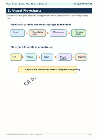 Class 8 Science Chapter 2 Visual Notes PDF | Colorful Infographics ...