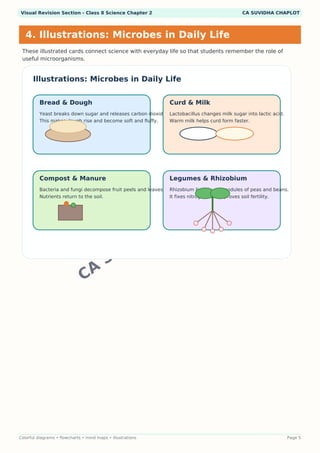 Class 8 Science Chapter 2work Worksheets.pdf Class 8 Science Chapter 2 Visual Notes PDF | Colorful Infographics ...