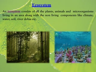 Class 8 science ch 7 conservation of plants and animals | PDF