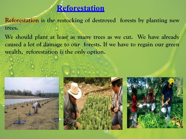 Class 8 science ch 7 conservation of plants and animals | PPT