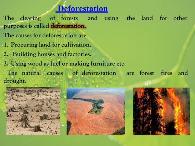 Class 8 science ch 7 conservation of plants and animals | PPT
