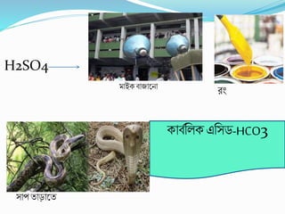 মাইেবাজাকনা
H2SO4
িিং
োবববলে এবসড-HCO3
সাপ তাড়াকত
 