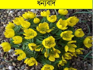 Class 8 science chapter 10 class 2