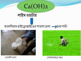 েযালবসয়ামহাইকরাক্সাইকডি পাতলা দ্রবি চু কনিপাবন
শ্রহায়াইটওয়াি শ্রপাোমােড় দমন
Ca(OH)2
 