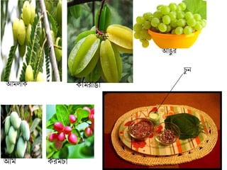 আমলবে োমিাঙা
আঙু ি
েিমচাআম
চু ন
 