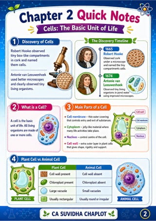 Class 8 Science Chapter 2 Infographic PDF | The Invisible Living World ...