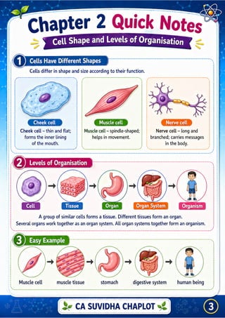 Class 8 Science Chapter 2 Infographic PDF | The Invisible Living World ...