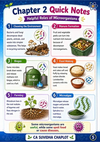 Class 8 Science Chapter 2work Worksheets.pdf Class 8 Science Chapter 2 Infographic PDF | The Invisible Living World ...