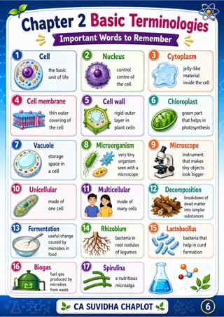 Class 8 Science Chapter 2 Infographic PDF | The Invisible Living World ...
