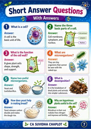 Class 8 Science Chapter 2work Worksheets.pdf Class 8 Science Chapter 2 Infographic PDF | The Invisible Living World ...