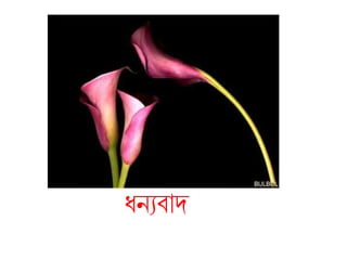 ধ্নযিাি
 