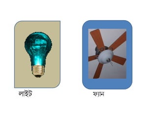লাইট ফ্যান
 