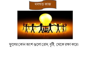 েলগত োজ
ফু কলিশ্রোন অংে গুকলা শ্রিাে, বৃরষ্ট, শ্রর্কেিক্ষা েকি।
 