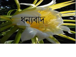 ধনযবাে
 