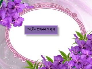 অক ৌনপ্রজননও ফু ল
 