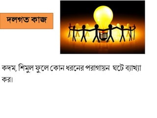 েেম, রেমুল ফু কল শ্রোন ধিকনি পিাগায়ন ঘকেবযাখ্যা
েি।
 