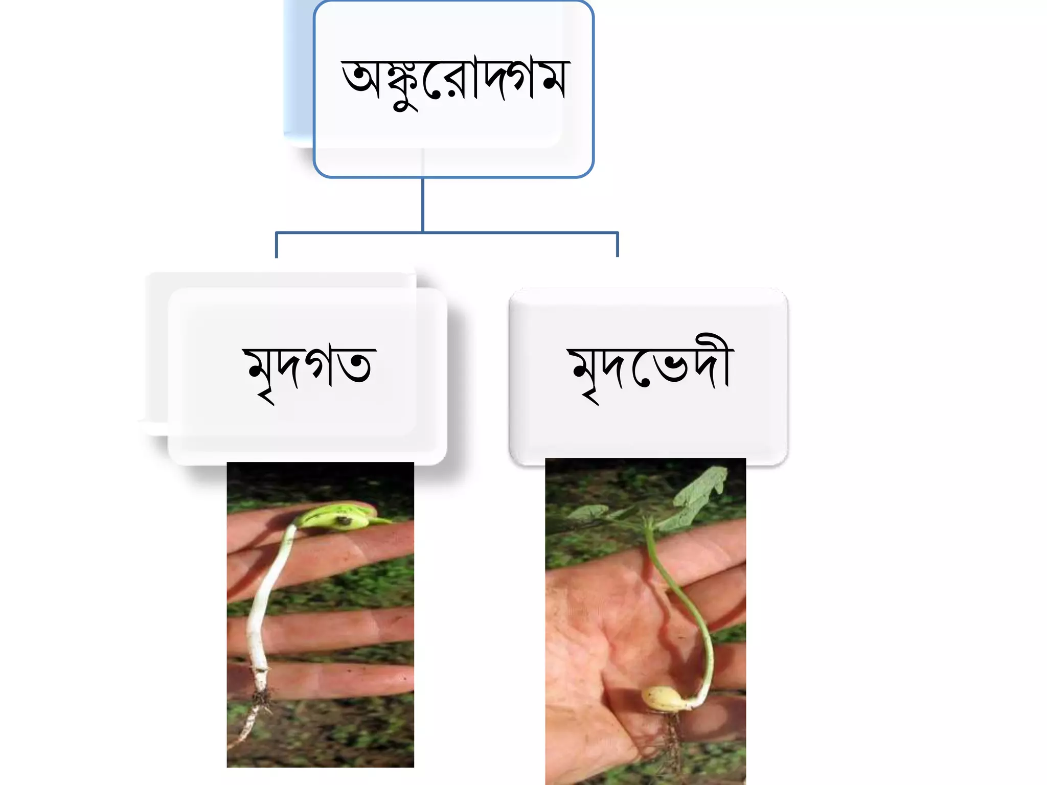 class-8-science-lesson-4-ppt