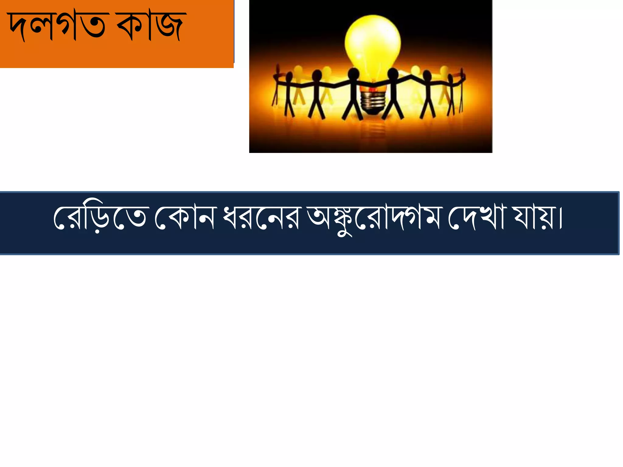 দলগি োজ
শ্রিরিকিশ্রোন ধ্িকনিঅঙ্কুকিাদ্গমশ্রদখ্া যায়।
 