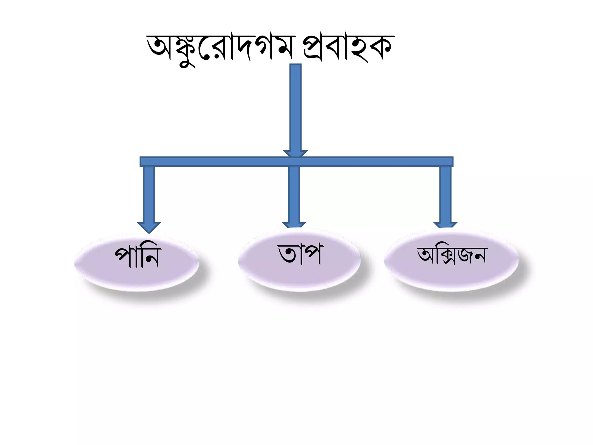 class-8-science-lesson-4-ppt