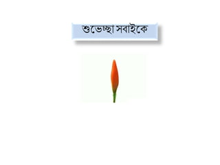 শুভেচ্ছাসবাইভে
 