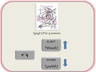 †givgZ LiP (e¨q wnmve)
e¨q
e„w×
†WweU
n«vm
†µwWU
 