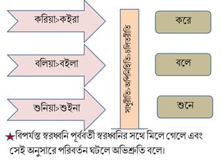 ক্ব্ররয়া>ক্ইরা ক্লর
শুব্রনয়া>শুইনা শুলন
িব্রেয়া>িইো িলে
ব্রিপযতস্ত স্বরধ্বব্রন পূিতিতী স্বরধ্বব্রনর সলে ব্র লে মগলে এিাং
মসই অনুসালরপব্ররিতত ন ঘটলেঅব্রভশ্রুব্রত িলে।
সাধুরীব্রত>অব্রপব্রনব্রহব্রত>চব্রেতরীব্রত
 