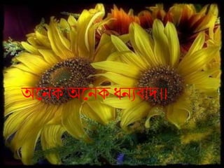 অলনক্ অলনক্ র্নযবাদ।।
 