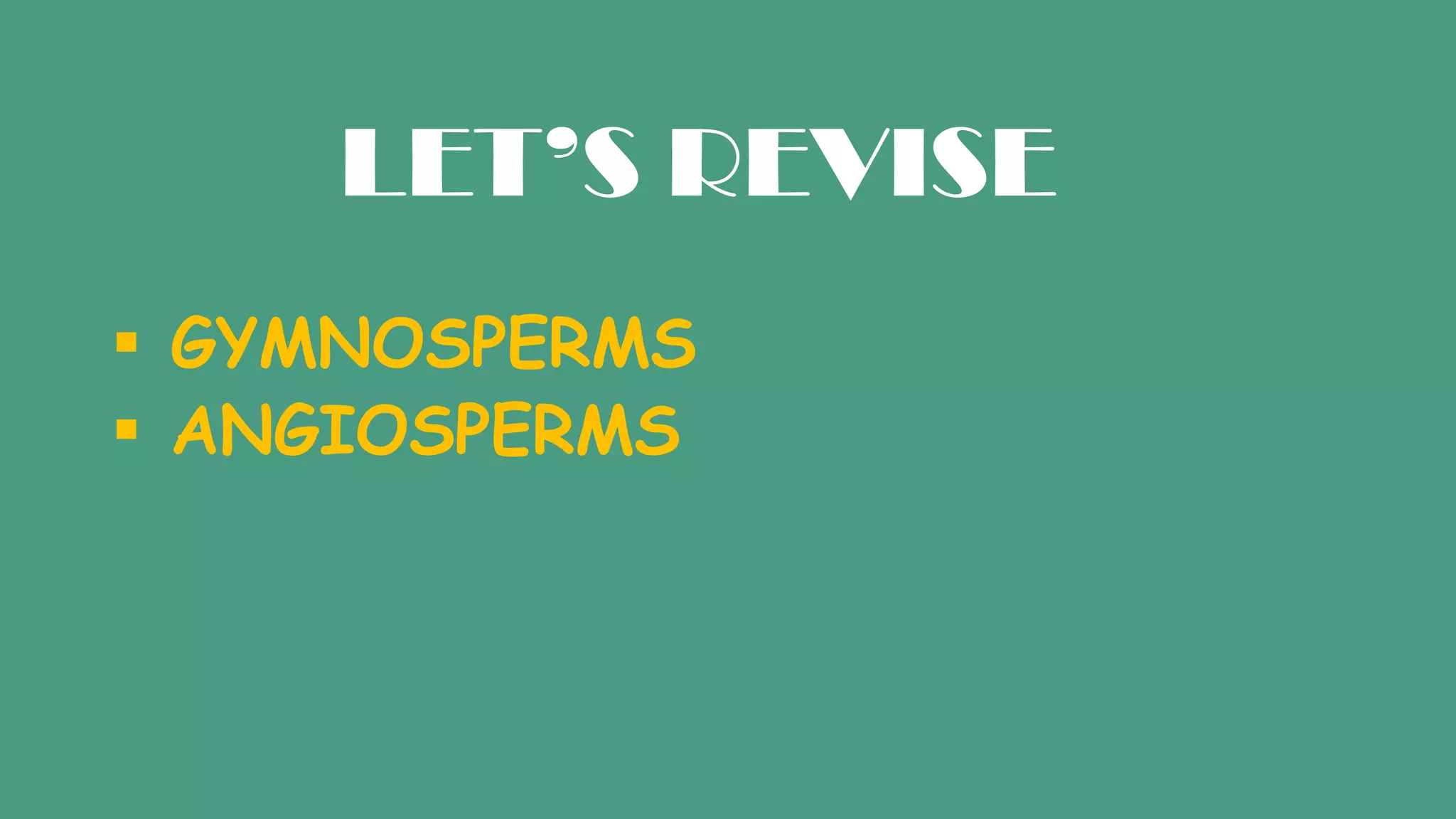 LET’S REVISE
GYMNOSPERMS
ANGIOSPERMS