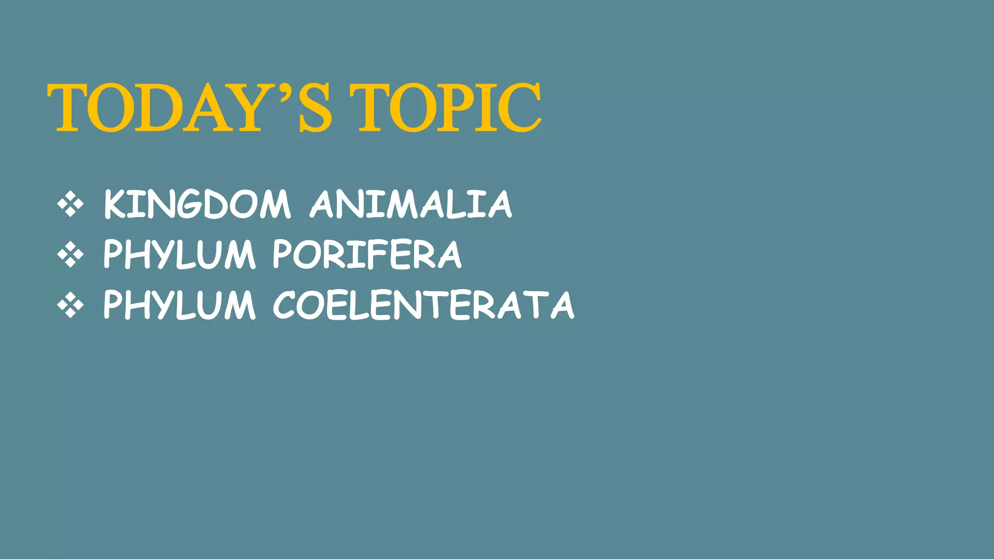 TODAY’S TOPIC
KINGDOM ANIMALIA
PHYLUM PORIFERA
PHYLUM COELENTERATA