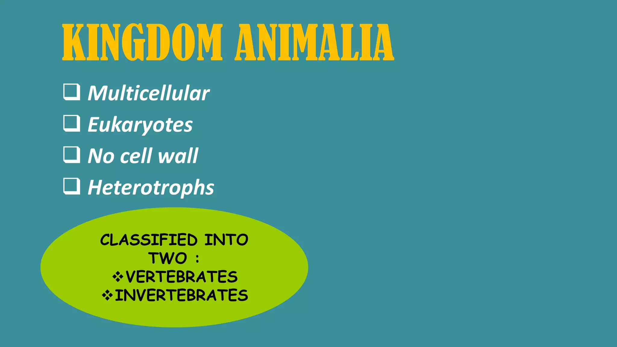 KINGDOM ANIMALIA
Multicellular
Eukaryotes
No cell wall
Heterotrophs
CLASSIFIED INTO
TWO :
VERTEBRATES
INVERTEBRATES