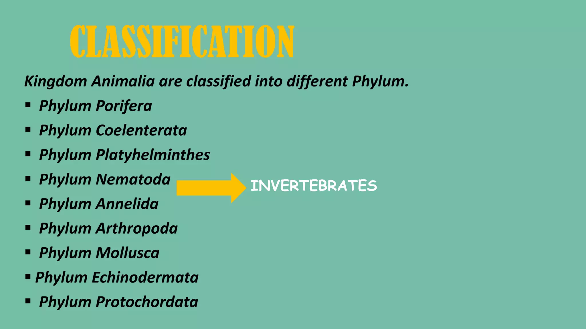 CLASSIFICATION
Kingdom Animalia are classified into different Phylum.
Phylum Porifera
Phylum Coelenterata
Phylum Platyhelminthes
Phylum Nematoda
Phylum Annelida
Phylum Arthropoda
Phylum Mollusca
Phylum Echinodermata
Phylum Protochordata
INVERTEBRATES