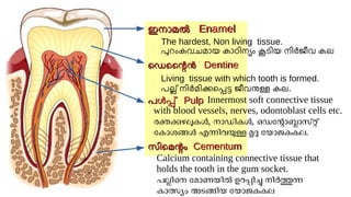 Lala Rasheed Unit Class 9 Biology Unit 2_SLIDES (part1)_Rasheed Odakkal.pdf