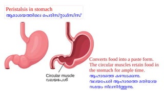 Lala Rasheed Unit Class 9 Biology Unit 2_SLIDES (part1)_Rasheed Odakkal.pdf