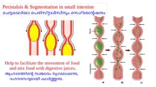 Lala Rasheed Unit Class 9 Biology Unit 2_SLIDES (part1)_Rasheed Odakkal.pdf