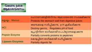 Lala Rasheed Unit Class 9 Biology Unit 2_SLIDES (part1)_Rasheed Odakkal.pdf