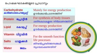 Lala Rasheed Unit Class 9 Biology Unit 2_SLIDES (part1)_Rasheed Odakkal.pdf