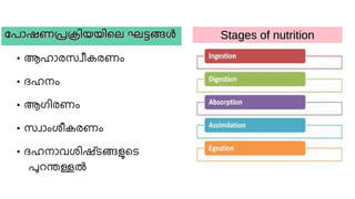 Lala Rasheed Unit Class 9 Biology Unit 2_SLIDES (part1)_Rasheed Odakkal.pdf