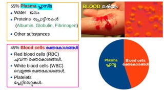 Lala Rasheed Unit Class 9 Biology Unit 2_SLIDES (Part 2)_Rasheed Odakkal.pdf