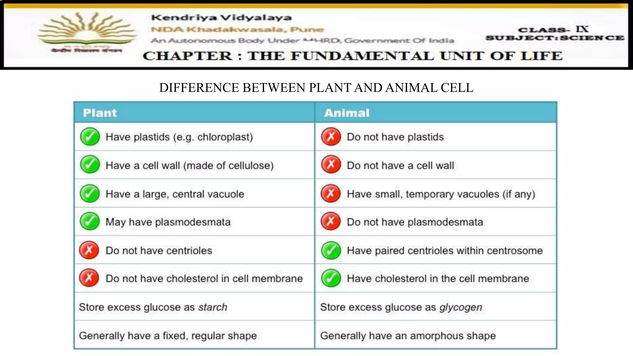 DIFFERENCE BETWEEN PLANT AND ANIMAL CELL
 