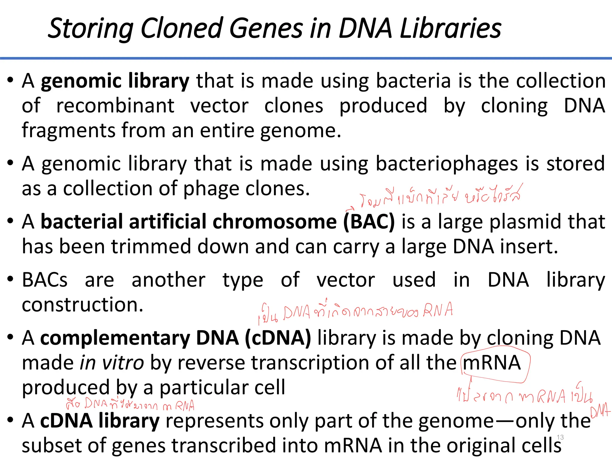 Storing Cloned Genes in DNA Libraries
• A genomic library that is made using bacteria is the collection
of recombinant vector clones produced by cloning DNA
fragments from an entire genome.
• A genomic library that is made using bacteriophages is stored
as a collection of phage clones.
• A bacterial artificial chromosome (BAC) is a large plasmid that
has been trimmed down and can carry a large DNA insert.
• BACs are another type of vector used in DNA library
construction.
• A complementary DNA (cDNA) library is made by cloning DNA
made in vitro by reverse transcription of all the mRNA
produced by a particular cell
• A cDNA library represents only part of the genome—only the
subset of genes transcribed into mRNA in the original cells
13
 