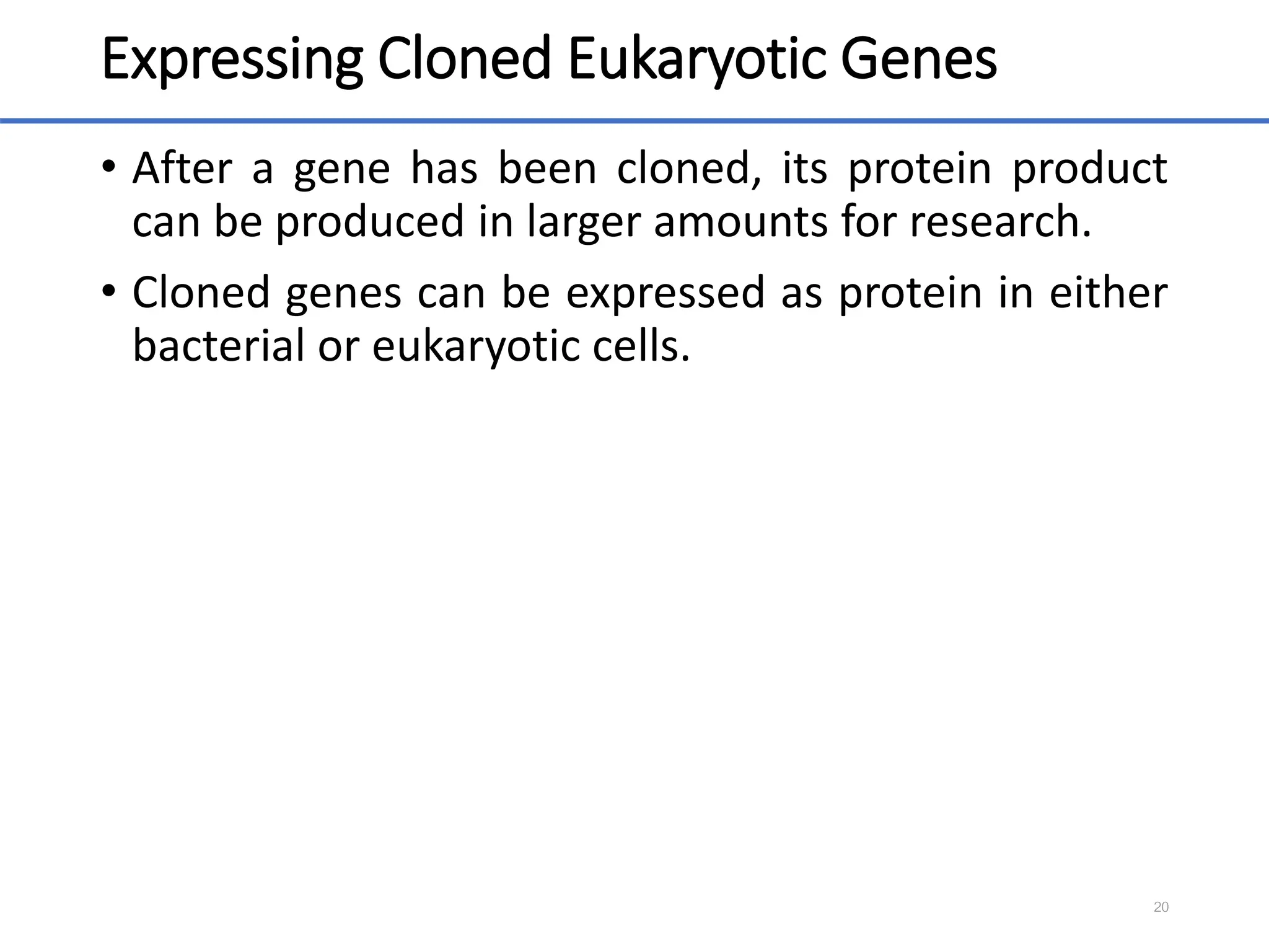 Expressing Cloned Eukaryotic Genes
• After a gene has been cloned, its protein product
can be produced in larger amounts for research.
• Cloned genes can be expressed as protein in either
bacterial or eukaryotic cells.
20
 