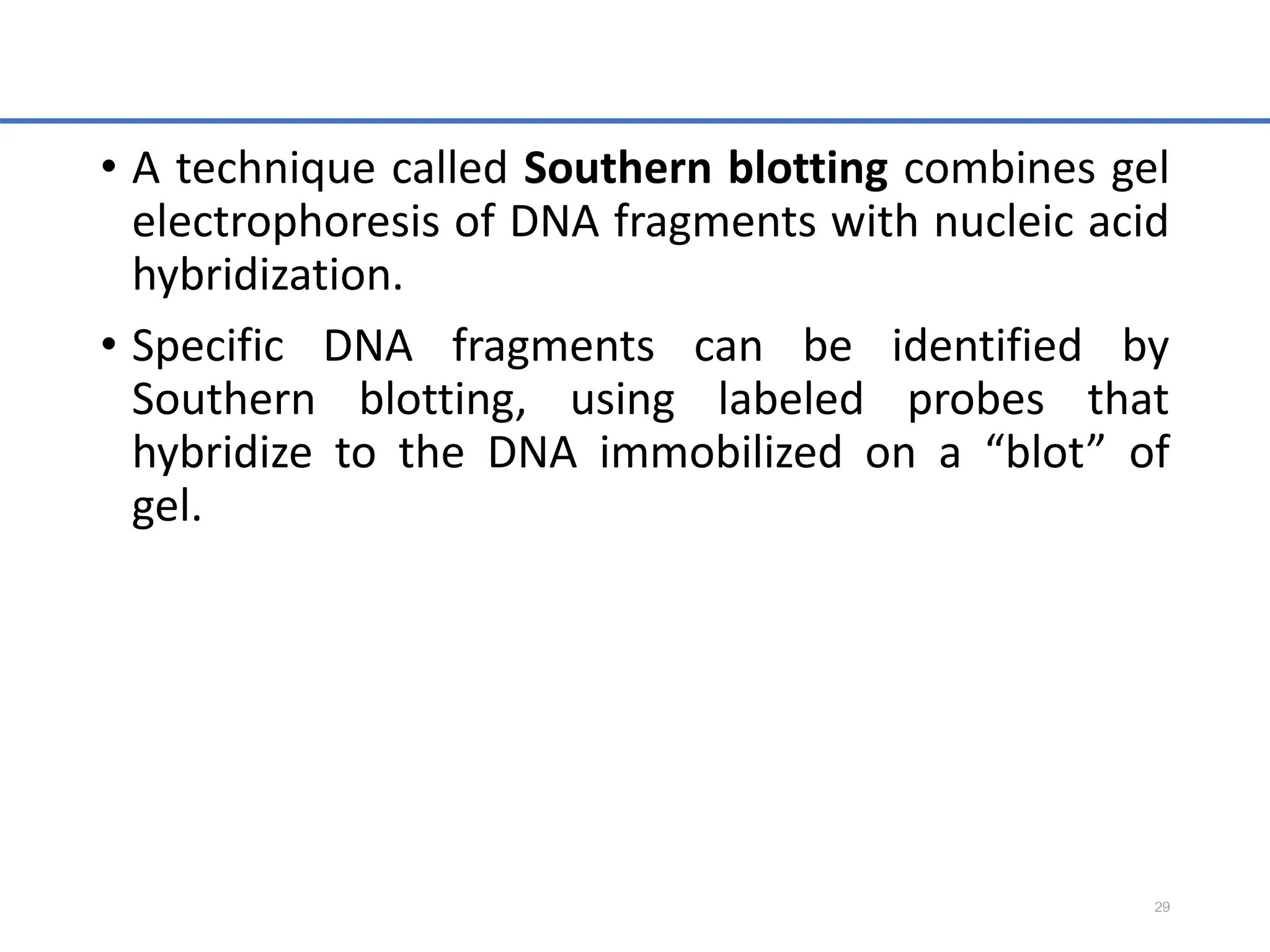 • A technique called Southern blotting combines gel
electrophoresis of DNA fragments with nucleic acid
hybridization.
• Specific DNA fragments can be identified by
Southern blotting, using labeled probes that
hybridize to the DNA immobilized on a “blot” of
gel.
29
 